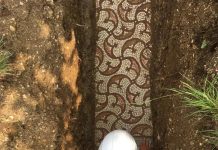 Vinograd krio arheološke ostatke prekrasne rimske vile