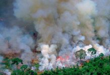 Najteži požari u Amazonu u 13 godina