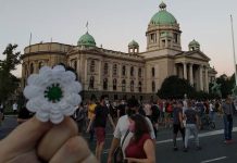 Demonstrant s protesta u Beogradu uz Cvijet Srebrenice poručio: Priznanje!