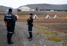 Stravičan slučaj na sjeveru Evrope: Polarni medvjed izvukao čovjeka iz šatora i ubio ga