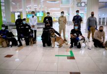 Tačnost 92 %: Na aerodromu u Dubaiju putnike testiraju K9 policijski psi