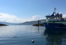 Tursko nalazište plina u Crnom moru vrijedi 80 milijardi dolara