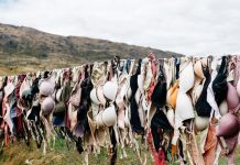 Osamdeset posto žena nosi krivi broj grudnjaka, vjerojatno ste i vi jedna od njih