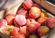 Breskve imaju brojne zdravstvene prednosti, a ovo su one najbitnije