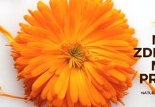 Zašto odabrati prirodnu kozmetiku s domaćim potpisom?