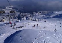 Incident na Jahorini: Divlja svinja napala bordere, “objektivna publika” je podržavala i huškala!? (VIDEO)