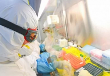 Virus je na ljude vjerojatno prešao sa šišmiša, ali preko neke životinje