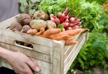 Poljoprivrednici traže od Vijeća ministara mjere za zaštitu domaće proizvodnje