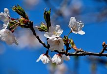 U BiH konačno proljeće