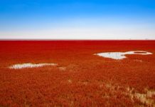 Da li ste čuli za “Crvenu plažu”? Interesantno mjesto koje nema veze ni sa kupanjem ni sa sunčanjem!