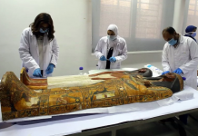 Egipat se sprema za povorku faraona, mumije će prevoziti zlatnim kočijama