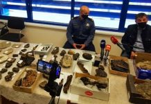 Slovenac pokušao iz BiH prokrijumčariti fosile neprocjenjive vrijednosti