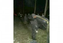 Dva državljana Pakistana lišena slobode zbog krijumčarenja migranata