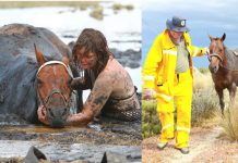 FOTO: Žena se držala za konja 3 sata u blatu kako bi ga spasila od utapanja