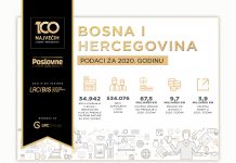 Prvi preliminarni podaci: Kako su poslovale bh. kompanije u 2020. godini?