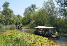 ‘Vodena staza’ nova turistička atrakcija Hutovog blata