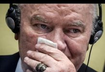 Izricanje historijske presude Ratku Mladiću: Zaplakao u sudnici