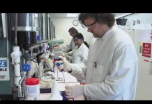 Regioskop – Zavjet nauci – Utorak 17:05, repriza 23:05