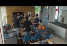 VIKENDICA, reality show – Pregled dana 11.6.2021.