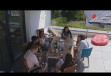 VIKENDICA, reality show – Pregled dana 12.6.2021.