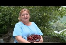 Dimenzija više – 12.06.2021.