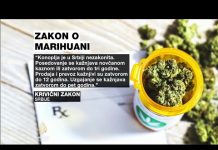 Zahtjevi za legalizaciju kanabisa u Srbiji