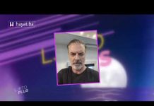 LJETO PLUS – SERIJA PRIJATELJI