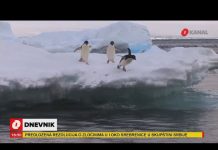 Prvi put u 100 godina: Planeta Zemlja će dobiti novi okean