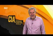 CIA: Kada sam na manjači vidio helikopter apače,rekao sam sebi-potpisuj Mile NATO,skinut će ti hlače
