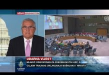 Kritike Srbiji u Vijeću sigurnosti zbog nesaradnje i negiranja genocida