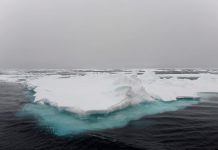 Planeta Zemlja dobija peti okean i bit će nazvan “Južni”