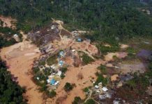 Rekordno krčenje amazonske prašume i dalje se nastavlja