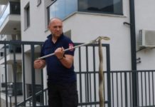 Panika u Hercegovini: Ogromna zmija prestravila mještane trebinjskog naselja Travunija