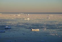 Za jedan dan Grenland izgubio leda s topljenjem dovoljnim da pokrije Floridu