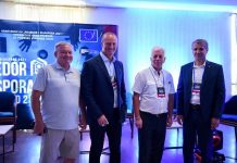 Potencijal za ekonomski razvoj Satler: Dijaspora može mnogo više od povremenog slanja novca