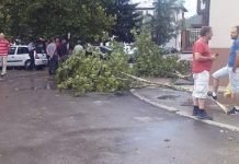 Nevrijeme pogodilo općinu u BiH: Jak vjetar i kiša rušili stabla, iščupali dimnjak