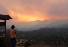 Kipar zbog velikog požara traži međunarodnu pomoć