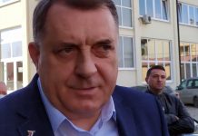 Milorad1-2-1024×976-1