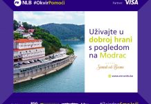 Okvir-pomoci-Senad-od-Bosne-za-web-1000×600-1