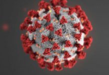 Što znamo o lambda varijanti koronavirusa