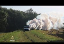 Beograd: Otkriveni komarci zaraženi virusom Zapadnog Nila