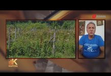 Kapital, biznis magazin – 10.7.2021.