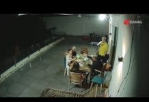 VIKENDICA, reality show – Pregled dana 3.7.2021.