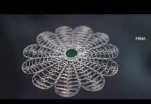 Srebreni cvijet Srebrenice za predsjednika SAD Joe Bidena