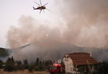 Grčka se bori sa smrtonosnim požarima u blizini Atine i na otoku Evia