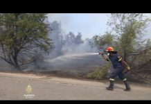 Na Atinu pada pepeo, a cijeli grad smrdi na dim