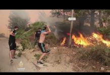 Deseci poginulih u požarima: Trodnevna žalost u Alžiru