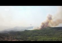 Turska ne gori, Turska je izgorjela! Članovi PKK pljačkaju evakuisane objekte iz razorenih područja?