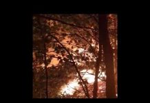 Šumski požar kod Konjica