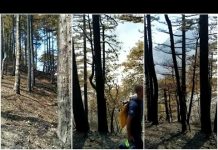 Nema kraja: Ponovo gori na Čvrsnici